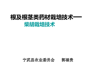 中药柴胡种植技术概要课件