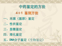 中药的性状鉴定-课件