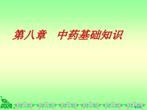中药基础知识教学课件