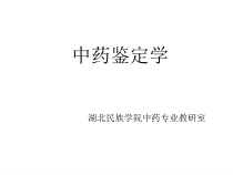中药鉴定学课件