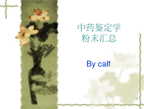 中药鉴定学粉末鉴别汇总图-课件