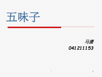 中药鉴定之五味子-课件
