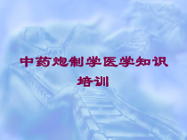 中药炮制学医学知识培训培训课件