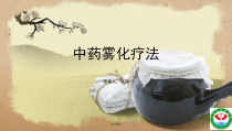 中药雾化疗法-课件