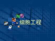 中药-细胞工程医学课件