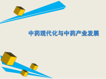 中药现代化与中药产业发展全面分析课件