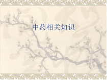 中药相关知识1课件
