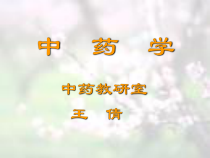 中药学_之总论课件