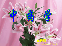 中药学-各论汇总课件