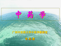 中药学总论课件
