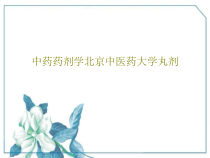 中药药剂学丸剂共31张课件