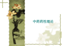 中药药效理论-课件