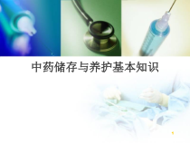中药饮片的储存与养护基本知识课件