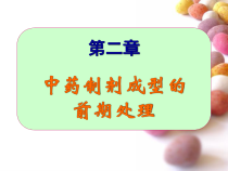 中药制剂成型的前期处理课件