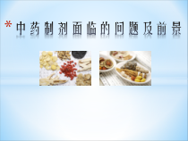 中药制剂面临的问题及前景讲解课件