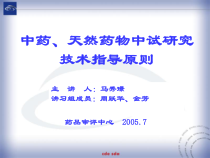 中药中试研究的技术指导原则课件