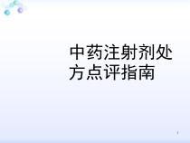中药注射剂处方点评指南课件