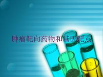 肿瘤靶向药物和基因靶点培训课件