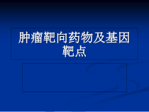 肿瘤靶向药物课件