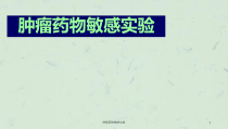 肿瘤药物敏感实验课件
