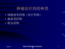 肿瘤治疗药物和辅助治疗药物的应用培训课件
