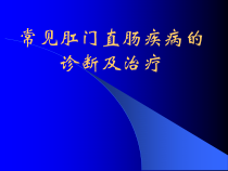 常见肛门直肠疾病的诊断及治疗-课件