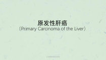 大学课医学原发性肝癌课件