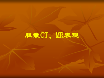 胆胰脾CTMR表现医学课件