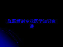 肛肠解剖专业医学知识宣讲培训课件