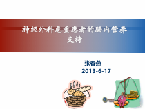 神经外科危重患者肠内营养护理课件