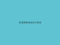 食道静脉曲张治疗指南课件