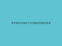 食管癌的内镜治疗从消融到切除的进展课件_2