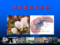 推荐医学影像诊断详解完整版肝胆胰脾影像诊断学课件