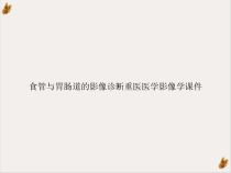 食管与胃肠道的影像诊断重医医学影像学课件_2