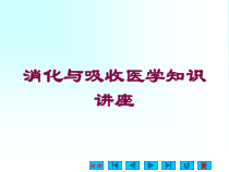消化与吸收医学知识讲座培训课件