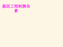 医学基因工程制胰岛素培训课件