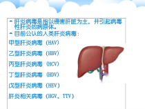 医学微生物肝炎病毒课件