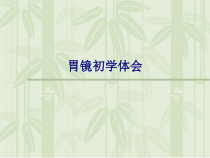 医学胃镜初学体会专题培训课件