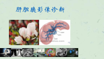 医学影像诊断详解完整版肝胆胰脾影像诊断学课件