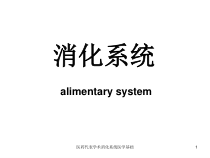 医药代表学术消化系统医学基础课件
