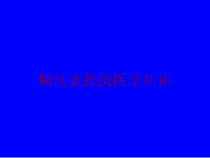 胰岛素抵抗医学知识培训课件