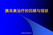胰岛素治疗的回顾与现状课件