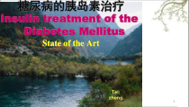 DM的胰岛素治疗课件