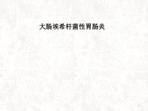大肠埃希杆菌性胃肠炎医学课件