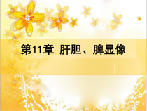 大学课程医学影像学肝胆系统-临床课件