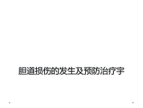 胆道损伤的发生及预防治疗宇课件