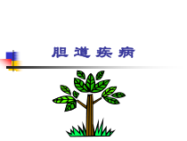 胆道医学课件