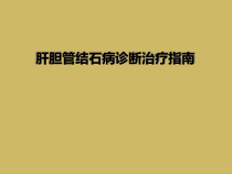 肝胆管结石病诊断治疗指南课件