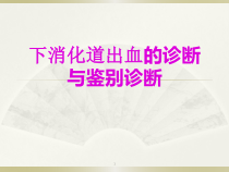 下消化道出血的诊断与治疗课件