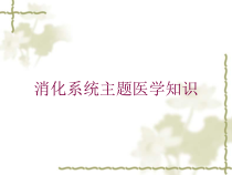 消化系统主题医学知识培训课件